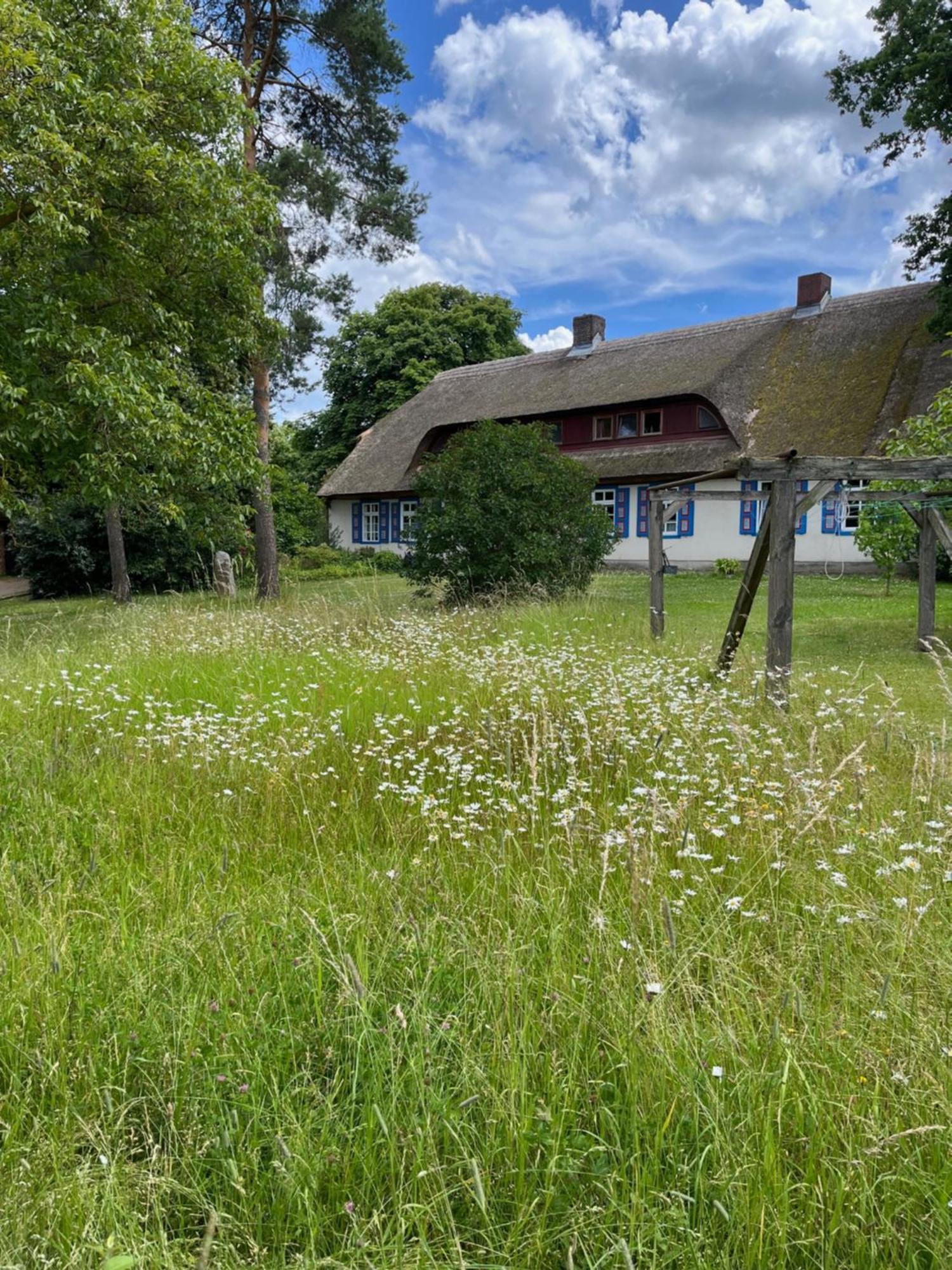Pfarrhaus Tollensesee Penzlin Exterior photo