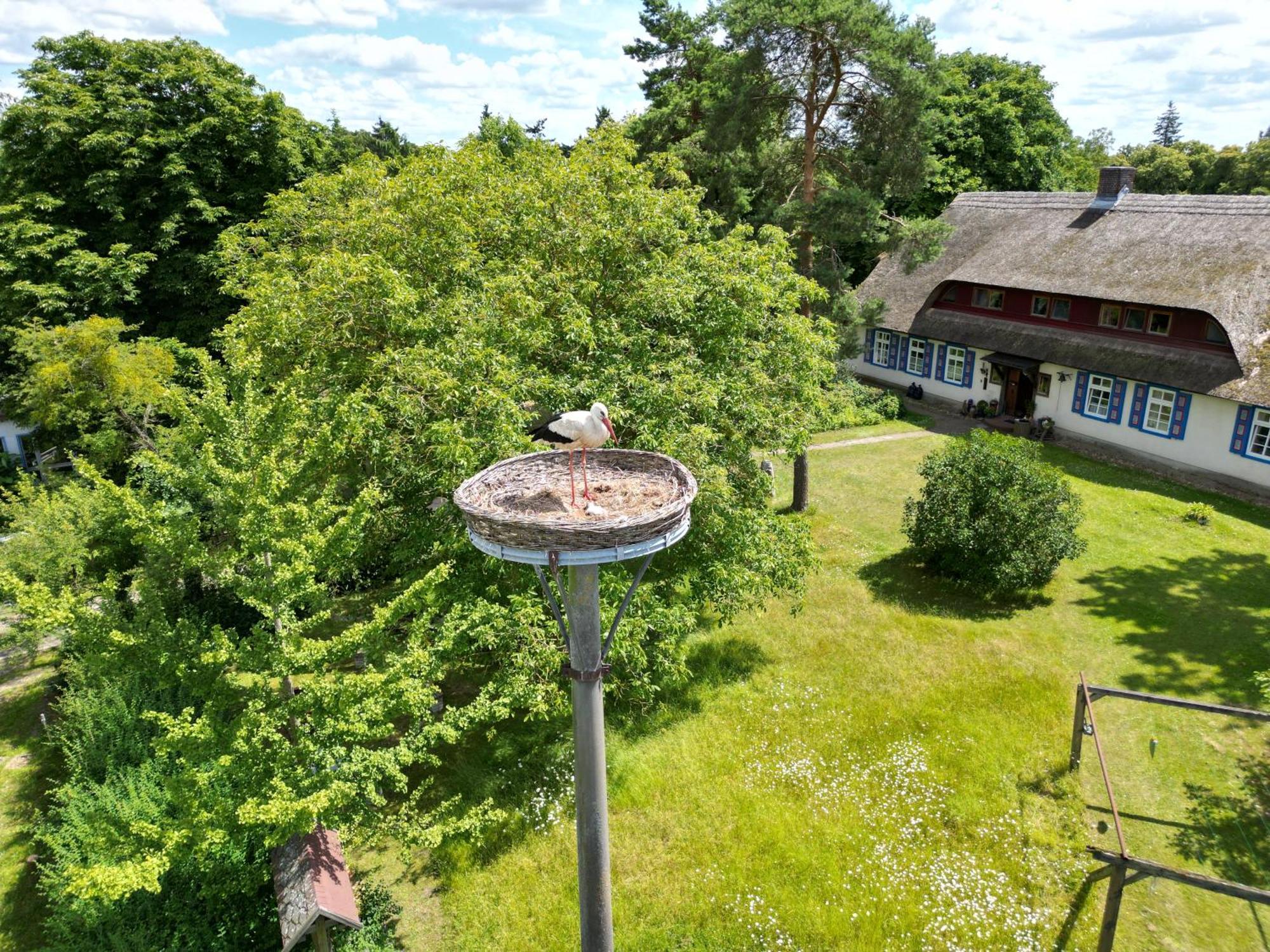 Pfarrhaus Tollensesee Penzlin Exterior photo